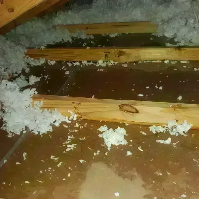 Attic Water Damage in Collierville, TN