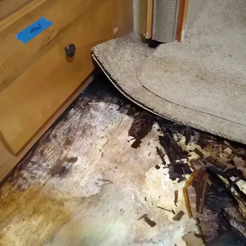 Best Wood Floor Water Damage Service in Collierville, TN